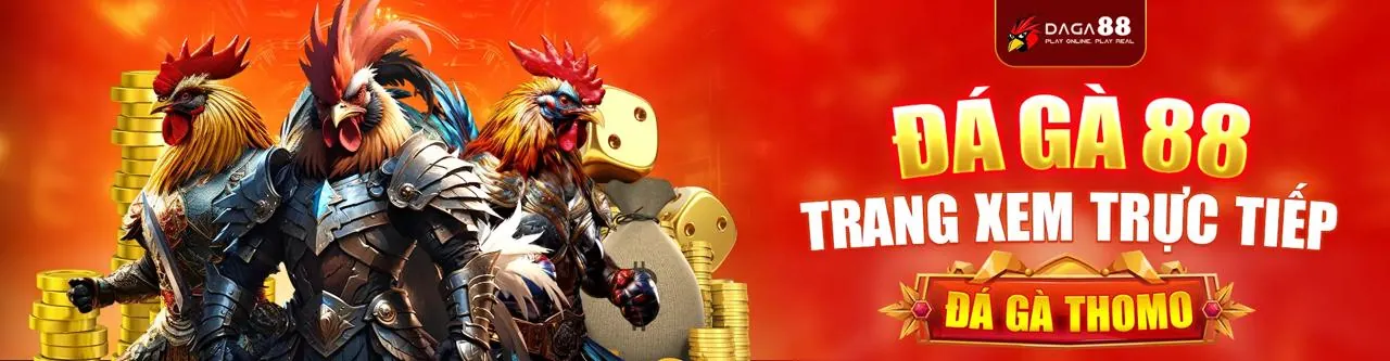 Đá gà trực tuyến sôi động tại bw808 trang chủ chính thức